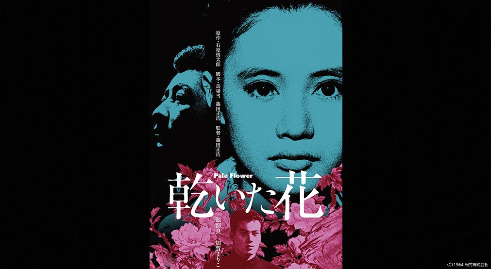 映画「乾いた花」1964のフル動画を無料視聴！加賀まりこ出演