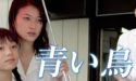 ドラマ【青い鳥】無料動画を視聴／夏川結衣・山田麻衣子出演